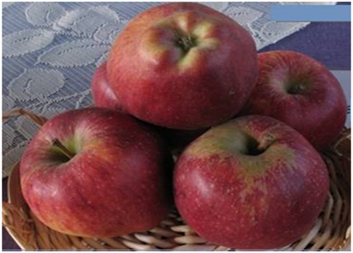 Pomme de Midelt